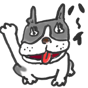 The name of the Boston terrier is Yoneko