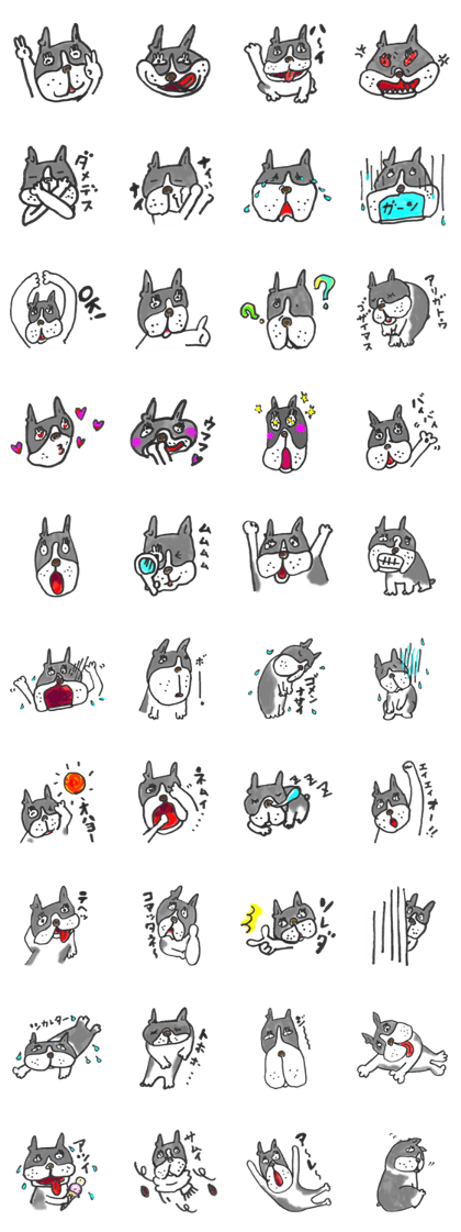 The name of the Boston terrier is Yoneko