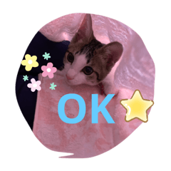 marina_20200608224323