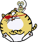 mr.doraneko