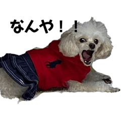 mei_20200609005510538