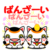 The cat which causes good luck2