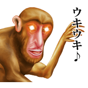 Mysterious monkey