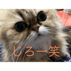 alice_20200609034142