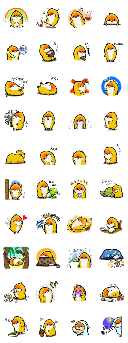 TROPICAL BIRD NANACHAN 2