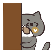 Routine cat!
