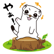 Fluffy okojo!