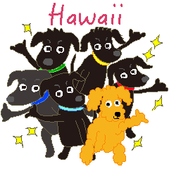 ガジュとフクとその兄弟たち　in Hawaii