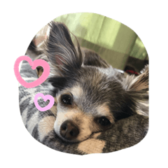 omochi_20200609111012