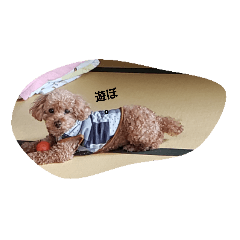 akipon_20200609000418