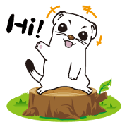 Fluffy ermine