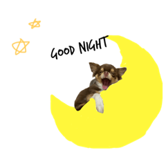 kinako20180530_rdwemooofakpfnnwaqs57gja