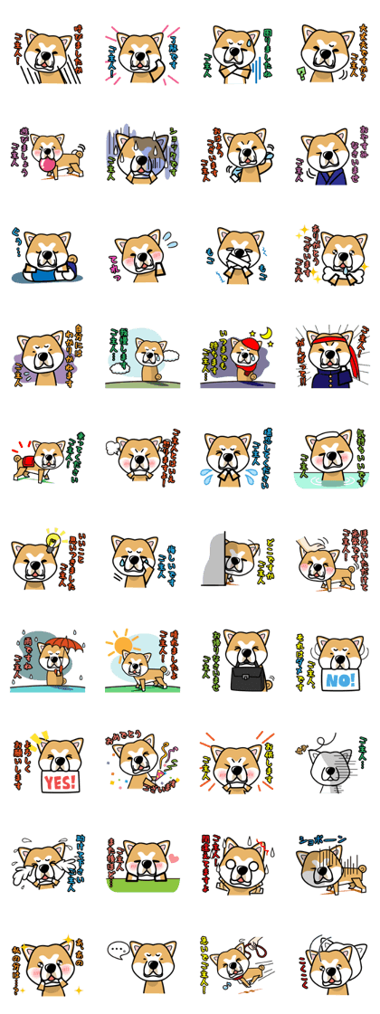 iinu - Akita