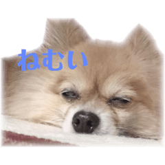 love_2020060909440411