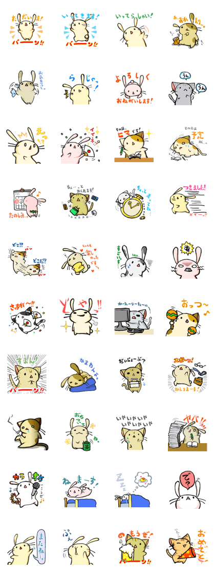 Everyday of rabbit 2