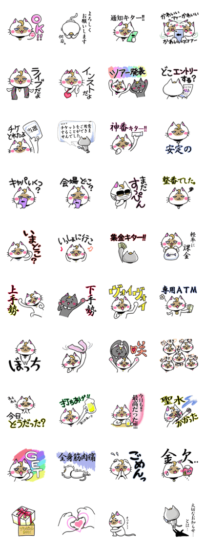 BANGYA-Cat