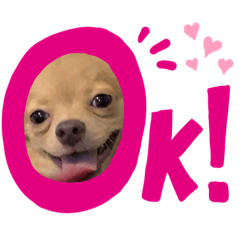 SUMIRE_20200609120226