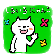 Cat of white RO.