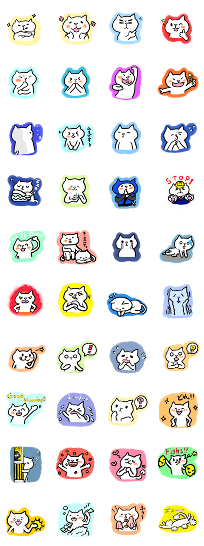Cat of white RO.