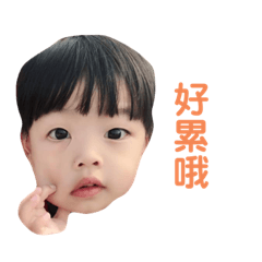 子睿子宸