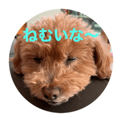 cocoa_20200609134339