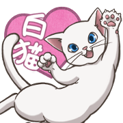 cat white cat cat white cat