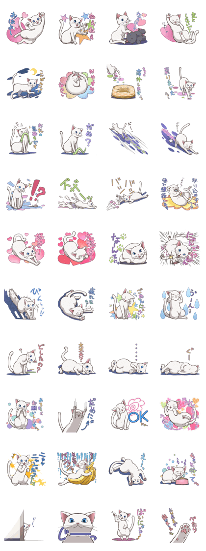 cat white cat cat white cat