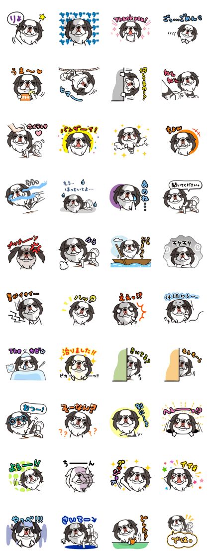 iinu - Chin iinu - Chin