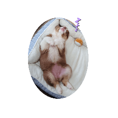 akiko_20200609124520