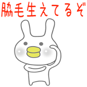 Rabbit(Day-to-day(2.0