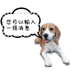 米格魯小獵犬貼圖 (beagle message sticker
