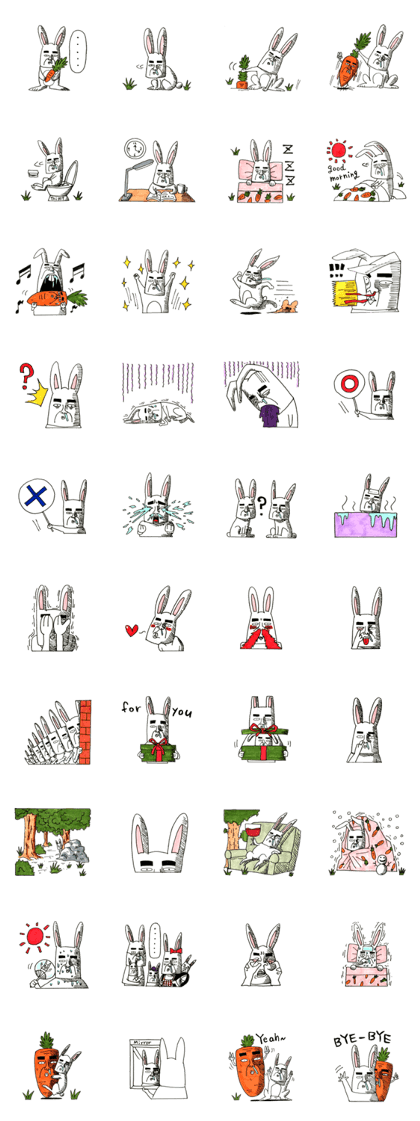 Strange rabbit to come look profusely Strange rabbit to come look profusely