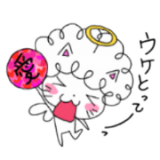 naturally curly cat2