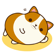 Plump Corgi Puipui