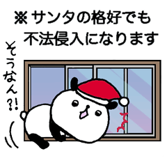Playful Osaka panda *winter*