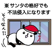 Playful Osaka panda winter