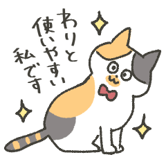 Calico cat Shirasu