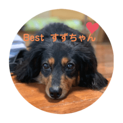 Suzu_20200609184158