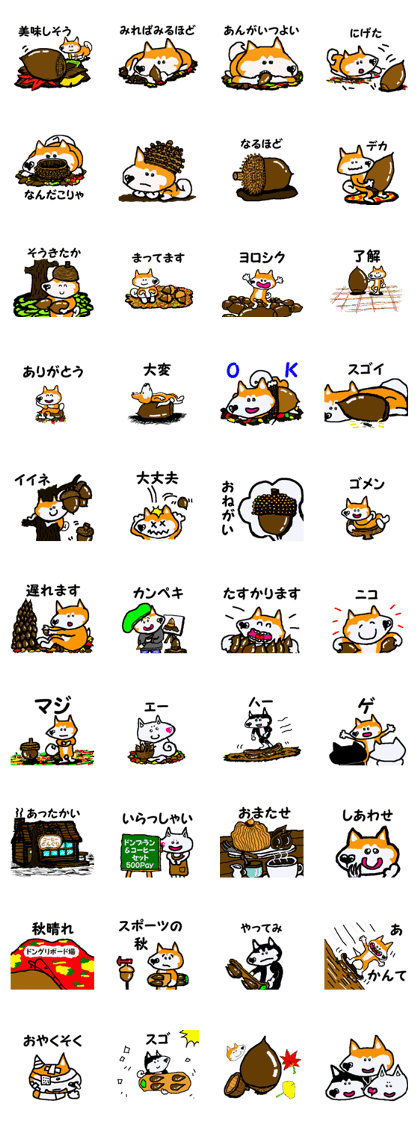 Shiba inu MOMO chan the third as well 11