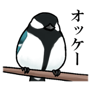 Wild birds of Japan Wild birds of Japan