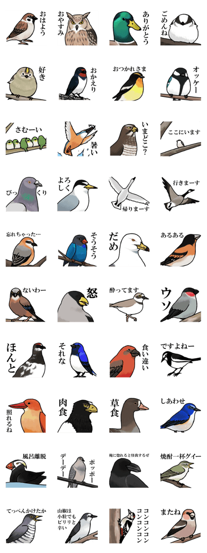 Wild birds of Japan Wild birds of Japan