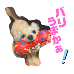 miyuu_20200609204250