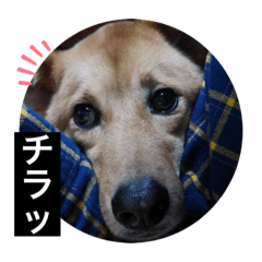 yamada_20200609221005