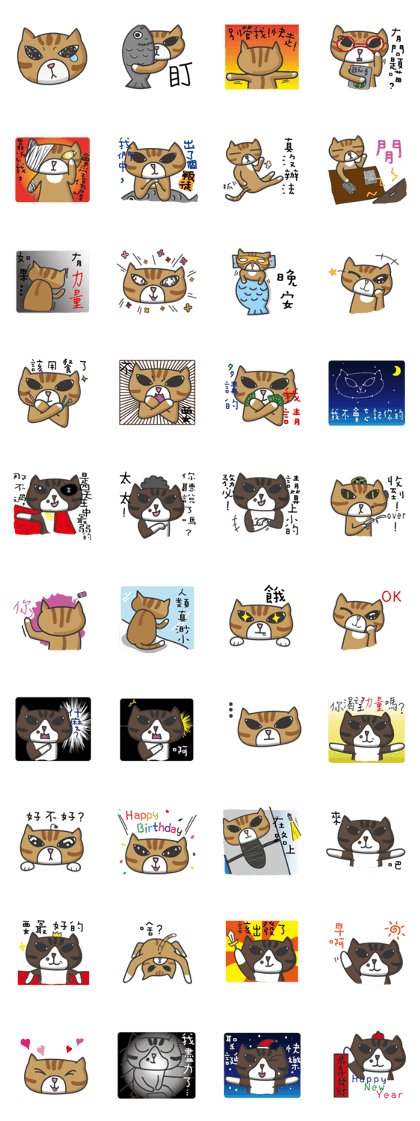 tabby cat's life tabby cat's life