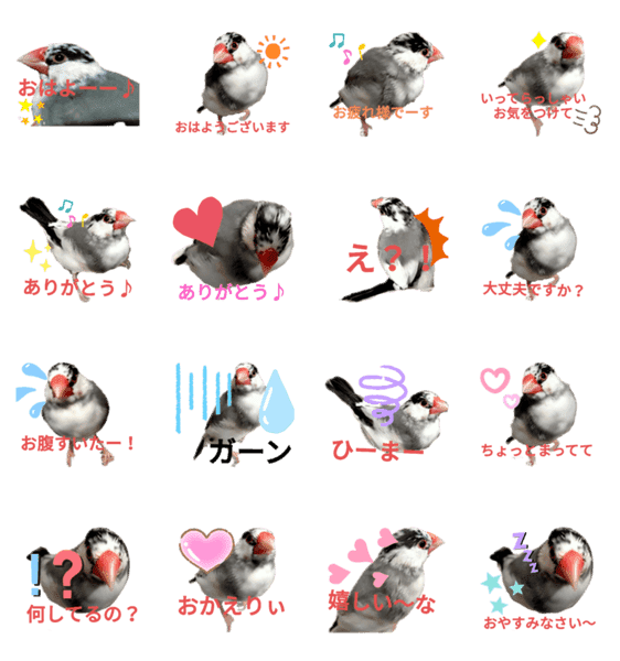 桜文鳥の日常会話 Lineクリエイターズスタンプ Stamplist 桜文鳥の日常会話 Lineクリエイターズスタンプ Stamplist