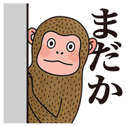 hasty monkey hasty monkey