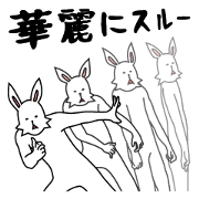 funny rabbit funny 2 funny rabbit funny 2