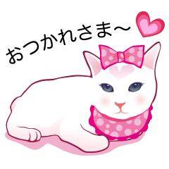 fashionable kawaii cat