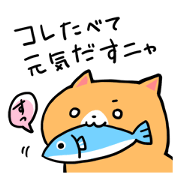 Daily life of dogs and cats