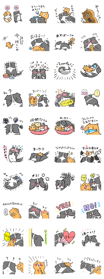 Daily life of dogs and cats